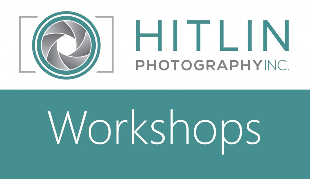 workshop_logo